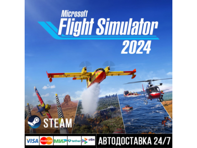 Microsoft Flight Simulator 2024 СТИМ Steam Gift
