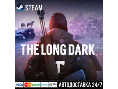 The Long Dark СТИМ Steam Gift