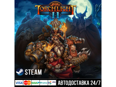 Torchlight 2 СТИМ Steam Gift