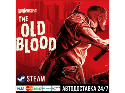 Wolfenstein: The Old Blood СТИМ Steam Gift