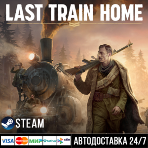 Last Train Home
