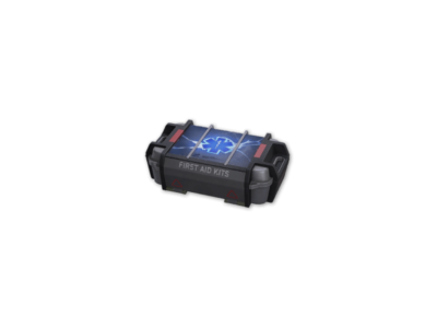 Energy Camouflage for Medicine Box FOREVER