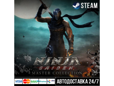 [NINJA GAIDEN: Master Collection] NINJA СТИМ Steam Gift