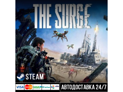 The Surge Steam Gift