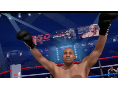 Лицензионный ключ Meta/Oculus Quest-VR от Boxing Underd