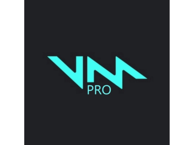 VOICEMOD PRO   (Lifetime)  -  License Key