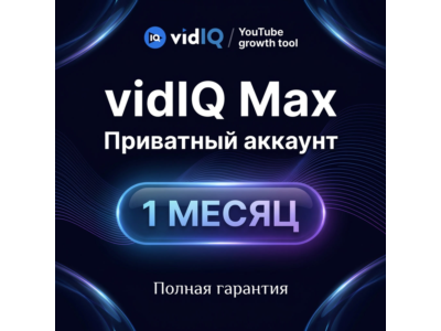 Vidiq Max 1 месяц Личный аккаунт