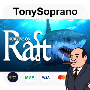 Raft Steam Gift RU KZ UA