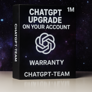 ChatGPT Team Plus on your account | Instant activity