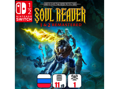 Legacy of Kain Soul Reaver 1&2 Remastered | Nintendo Switch 1/2