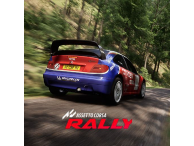 Assetto Corsa Rally (Аренда аккаунта Steam) Онлайн