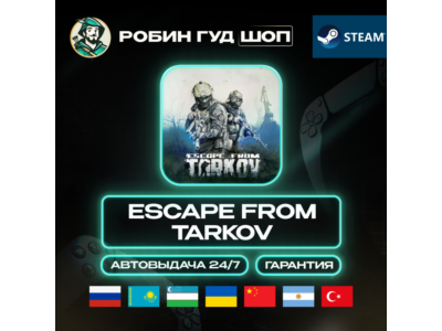 ESCAPE FROM TARKOV STEAM GIFT GLOBAL AUTO 24/7