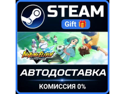 INAZUMA ELEVEN: Victory Road Deluxe Edition STEAM PC