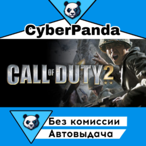 Call of Duty 2 STEAM GIFT AUTO DELIVERY