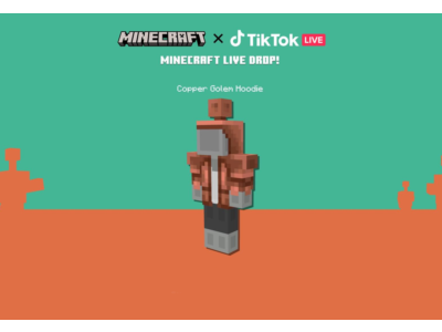 Minecraft Java & Bedrock Edition - Copper Core Twitch