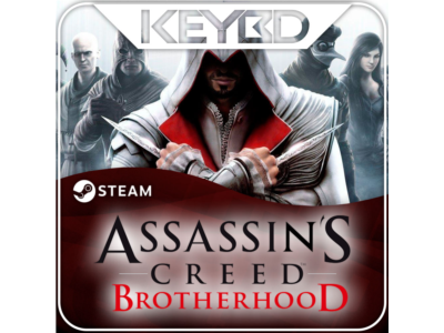 Assassin's Creed Brotherhood +ВЫБОР · STEAM RU · АВТО