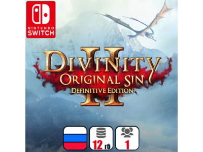 Divinity: Original Sin 2 | Nintendo Switch 1/2
