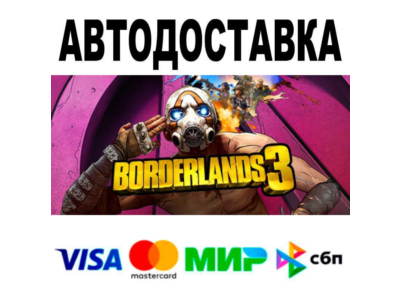 Borderlands 3 Super Deluxe Edition🔵 АВТО 🚀 STEAM • РФ