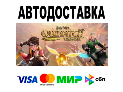Harry Potter: Quidditch Champions Deluxe Edition🔵 АВТО