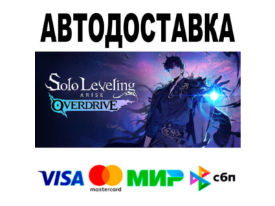 Solo Leveling: ARISE OVERDRIVE🔵 AUTO 🚀 STEAM • RU/WOR
