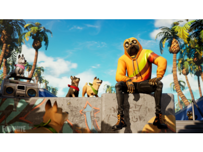 Instant • FN • 5-500 top skins • Full access