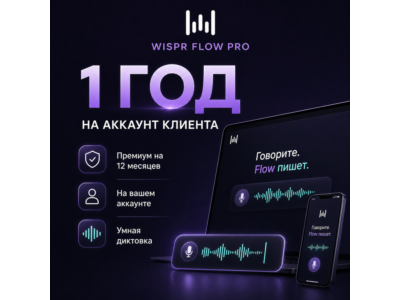 Wispr Flow Pro на 1 год на ваш email
