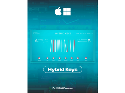 Native Instruments Hybrid Keys | AUTO DELIVERY 24/7
