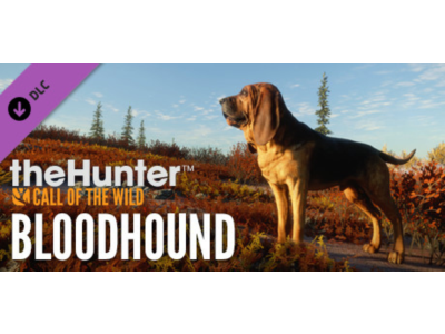 ⚡️theHunter: Call of the Wild - Bloodhound | Steam АВТО