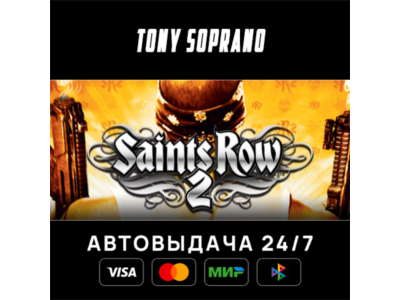 Saints Row 2 (ROW) STEAM GIFT