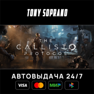 The Callisto Protocol STEAM GIFT