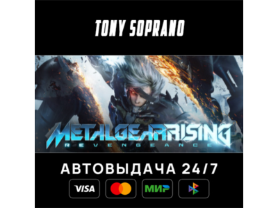 Metal Gear Rising STEAM GIFT