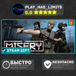 🎁MISERY *RU/BY/UA/CIS Steam Auto