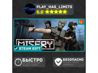 🎁MISERY *RU/BY/UA/CIS Steam Auto