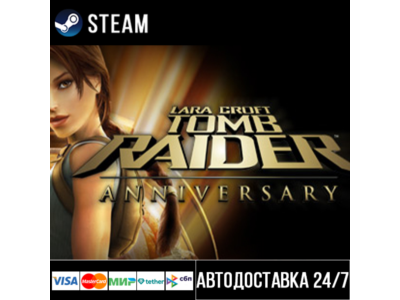 Tomb Raider: Anniversary СТИМ Steam Gift