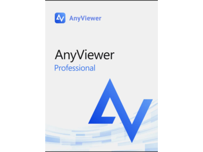 AnyViewer Professional KEY 1 YEAR