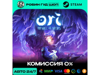 ORI AND THE WILL OF THE WISPS STEAM RU+WORLD AUTO 24/7