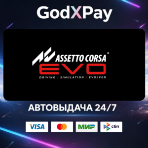 Assetto Corsa EVO• RU|KZ|UA|TR|AR| • AUTO