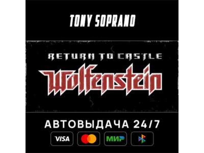 Return to Castle Wolfenstein STEAM GIFT