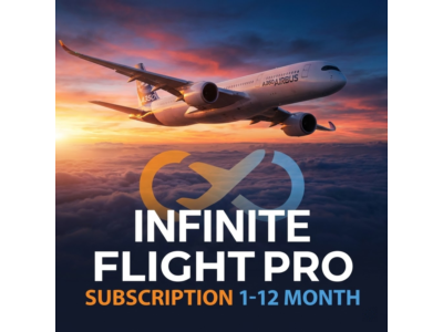 Infinite Flight Pro Подписка 1-12 Мес Аккаунт