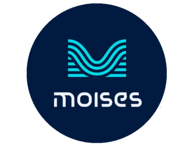 Moises Premium | Подписка на 1–12 месяцев для вашего аккаунта