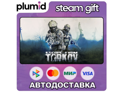 Escape from Tarkov Steam Gift / Россия + МИР / АВТО