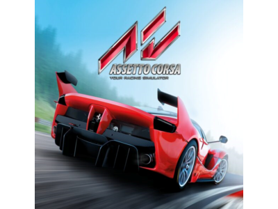 Assetto Corsa steam Online Полный доступ