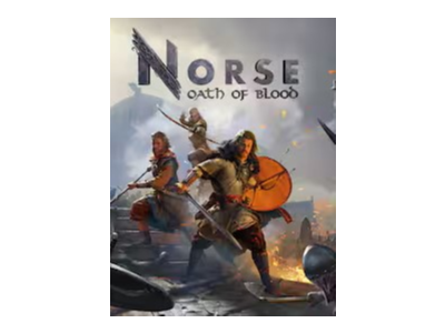 🔥🔥 NORSE: Oath of Blood /Steam Ключ / Только  Китай