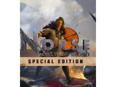 🔥🔥 NORSE: Oath of Blood - Special Edition /Steam Ключ / Только  Китай