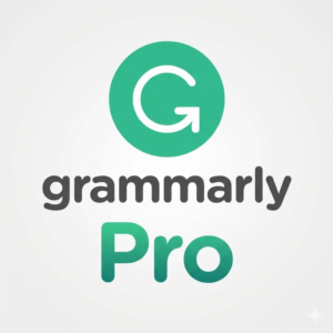 Grammarly Pro 1/3/12 Months Subscription to Your Account