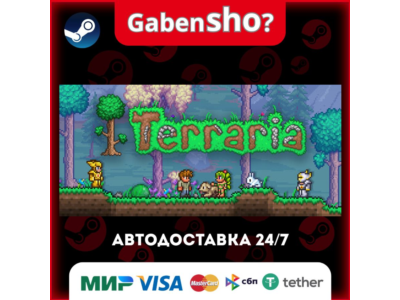 Terraria СТИМ Steam Gift
