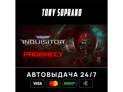 Warhammer 40,000: Inquisitor - Martyr Definitive Edition STEAM GIFT
