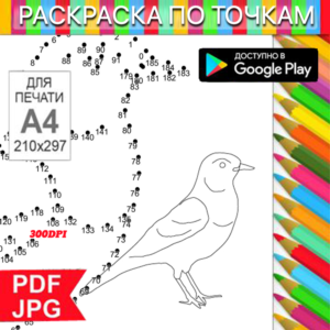 Bird Coloring Pages: Dot-to-Dot Anti-Stress for Printing on a Printer and Android