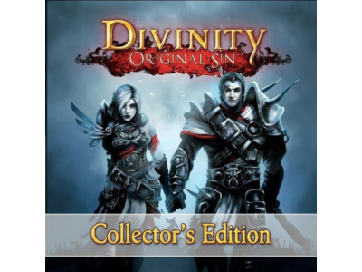 Divinity Original Sin Collector's Edition | Steam Ключ | РФ+СНГ
