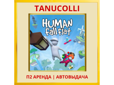☀️ Human: Fall Flat  (PS4/PS5/RU) П3 Активация